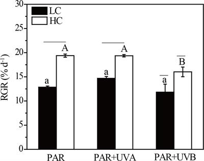 Effects of seawater acidification and solar ultraviolet radiation on photosynthetic performances and biochemical compositions of Rhodosorus sp. SCSIO-45730